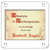attestato febbraio 2008